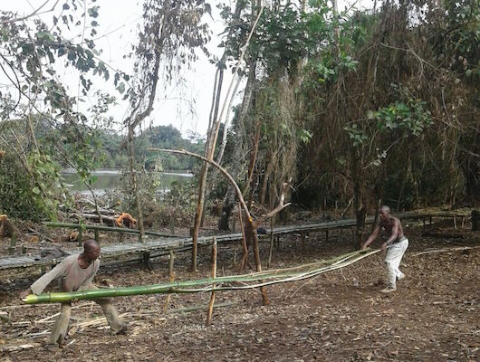 nursery_kenema_setup0781